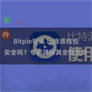 Bitpie转账 比特派钱包安全吗？专家详解其全面优势