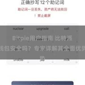 Bitpie用户指南 比特派钱包安全吗？专家详解其全面优势