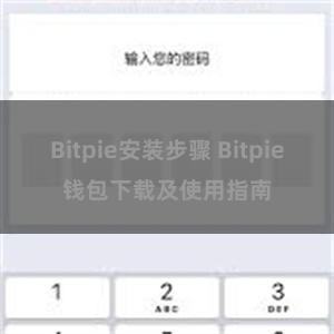 Bitpie安装步骤 Bitpie钱包下载及使用指南