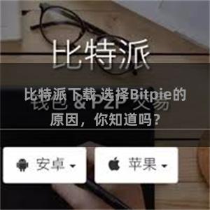 比特派下载 选择Bitpie的原因，你知道吗？