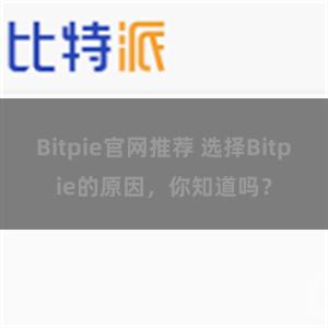 Bitpie官网推荐 选择Bitpie的原因，你知道吗？