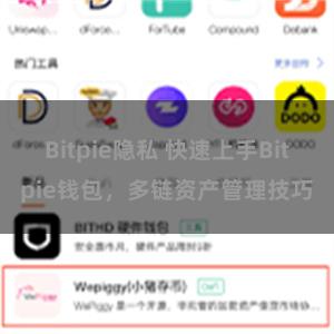 Bitpie隐私 快速上手Bitpie钱包，多链资产管理技巧