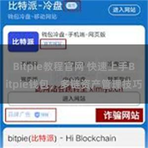 Bitpie教程官网 快速上手Bitpie钱包，多链资产管理技巧