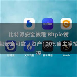 比特派安全教程 Bitpie钱包安全可靠，资产100%自主掌控