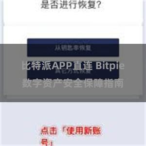比特派APP直连 Bitpie数字资产安全保障指南