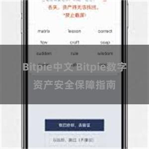 Bitpie中文 Bitpie数字资产安全保障指南