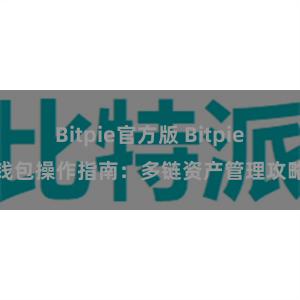 Bitpie官方版 Bitpie钱包操作指南：多链资产管理攻略