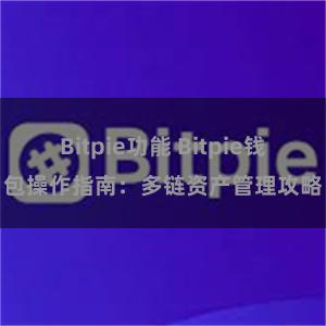 Bitpie功能 Bitpie钱包操作指南：多链资产管理攻略