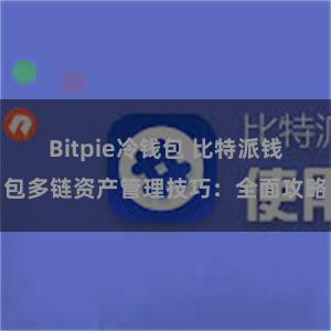 Bitpie冷钱包 比特派钱包多链资产管理技巧：全面攻略