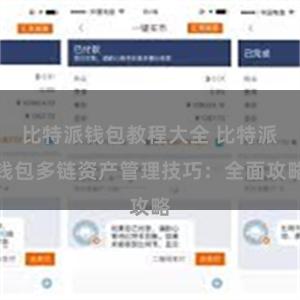 比特派钱包教程大全 比特派钱包多链资产管理技巧：全面攻略