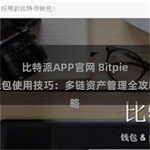 比特派APP官网 Bitpie钱包使用技巧：多链资产管理全攻略