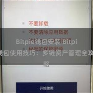 Bitpie钱包安装 Bitpie钱包使用技巧：多链资产管理全攻略