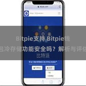 Bitpie支持 Bitpie钱包冷存储功能安全吗？解析与评估