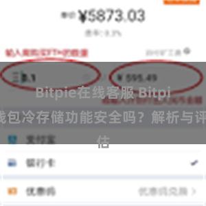 Bitpie在线客服 Bitpie钱包冷存储功能安全吗？解析与评估