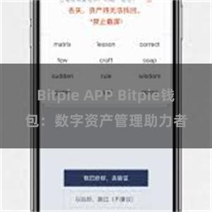 Bitpie APP Bitpie钱包：数字资产管理助力者