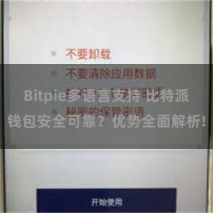 Bitpie多语言支持 比特派钱包安全可靠？优势全面解析!