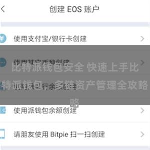比特派钱包安全 快速上手比特派钱包，多链资产管理全攻略