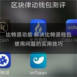 比特派功能 解决比特派钱包使用问题的实用技巧