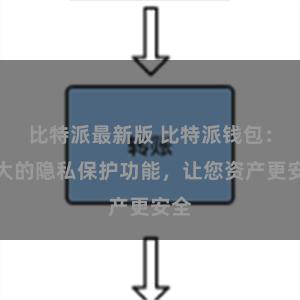 比特派最新版 比特派钱包：强大的隐私保护功能，让您资产更安全