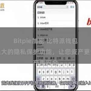 Bitpie加密 比特派钱包：强大的隐私保护功能，让您资产更安全