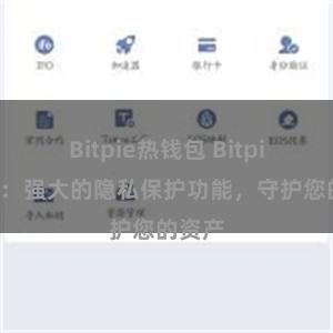 Bitpie热钱包 Bitpie钱包：强大的隐私保护功能，守护您的资产