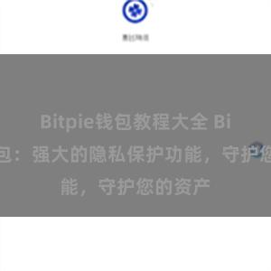 Bitpie钱包教程大全 Bitpie钱包：强大的隐私保护功能，守护您的资产