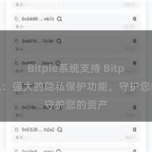 Bitpie系统支持 Bitpie钱包：强大的隐私保护功能，守护您的资产