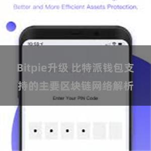 Bitpie升级 比特派钱包支持的主要区块链网络解析