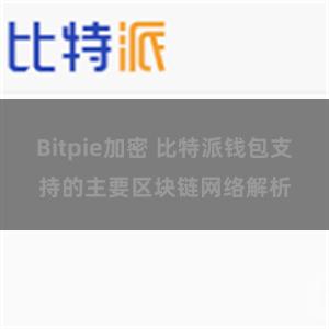 Bitpie加密 比特派钱包支持的主要区块链网络解析