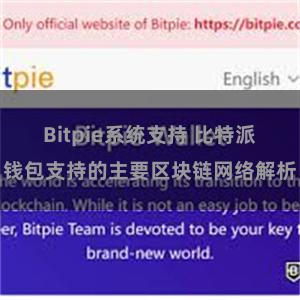 Bitpie系统支持 比特派钱包支持的主要区块链网络解析