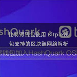 比特派钱包使用 Bitpie钱包支持的区块链网络解析