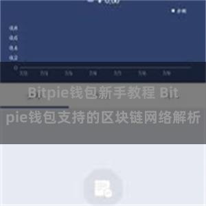 Bitpie钱包新手教程 Bitpie钱包支持的区块链网络解析