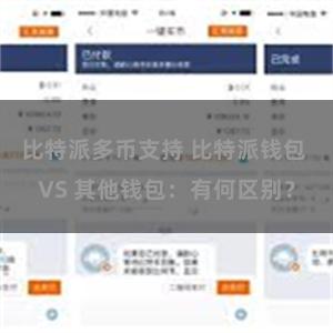 比特派多币支持 比特派钱包 VS 其他钱包：有何区别？