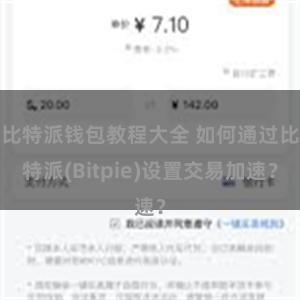 比特派钱包教程大全 如何通过比特派(Bitpie)设置交易加速？