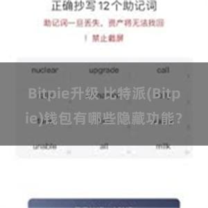 Bitpie升级 比特派(Bitpie)钱包有哪些隐藏功能？