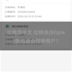 比特派中文 比特派(Bitpie)钱包适合何种用户？