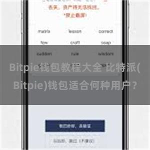 Bitpie钱包教程大全 比特派(Bitpie)钱包适合何种用户？