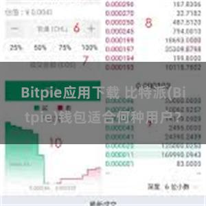 Bitpie应用下载 比特派(Bitpie)钱包适合何种用户？