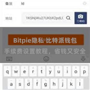 Bitpie隐私 比特派钱包手续费设置教程，省钱又安全