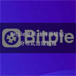 Bitpie全新 比特派钱包：分布式治理教程