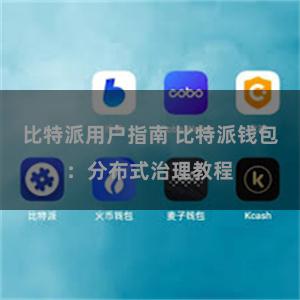 比特派用户指南 比特派钱包：分布式治理教程