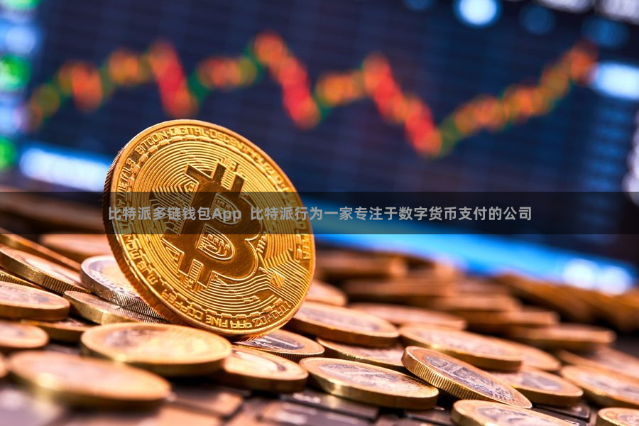 比特派多链钱包App  比特派行为一家专注于数字货币支付的公司