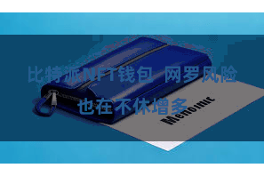 比特派NFT钱包  网罗风险也在不休增多