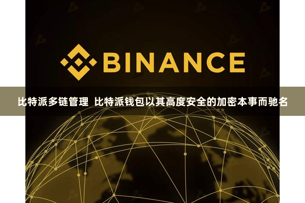 比特派多链管理  比特派钱包以其高度安全的加密本事而驰名
