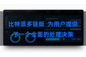 比特派多链版  为用户提供了一个全面的处理决策
