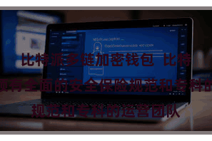 比特派多链加密钱包  比特派国外版领有全面的安全保险规范和专科的运营团队