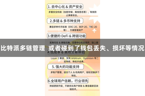 比特派多链管理  或者碰到了钱包丢失、损坏等情况