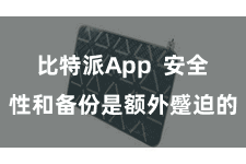 比特派App  安全性和备份是额外蹙迫的
