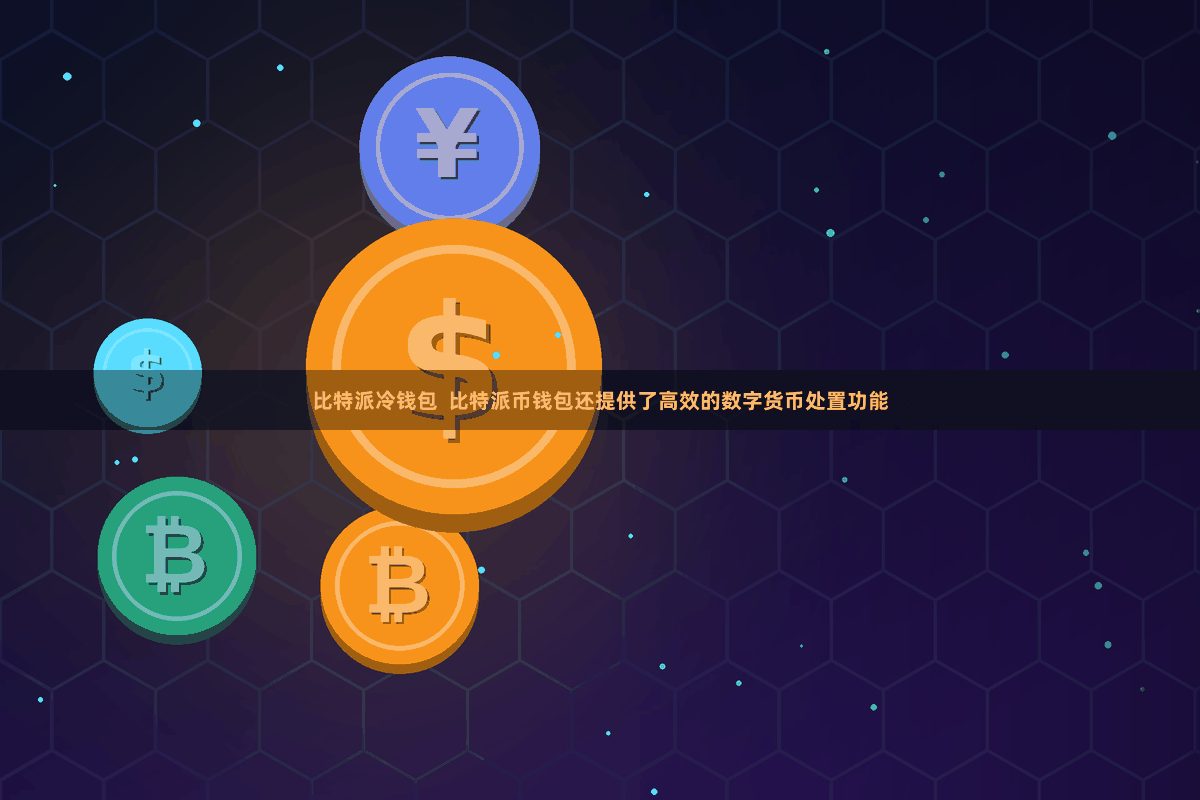 比特派冷钱包  比特派币钱包还提供了高效的数字货币处置功能
